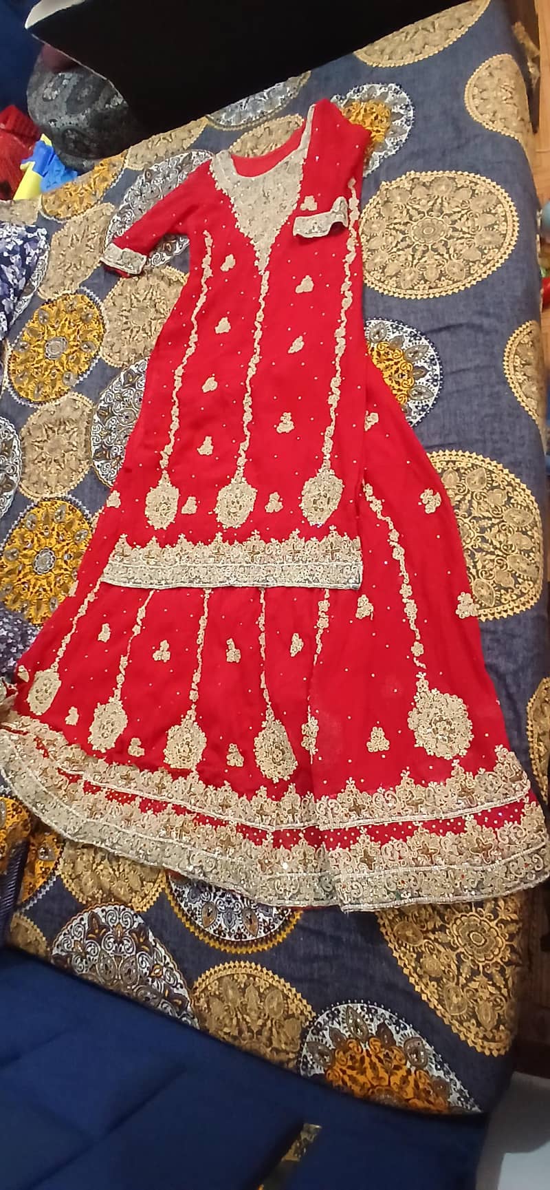lenga 2