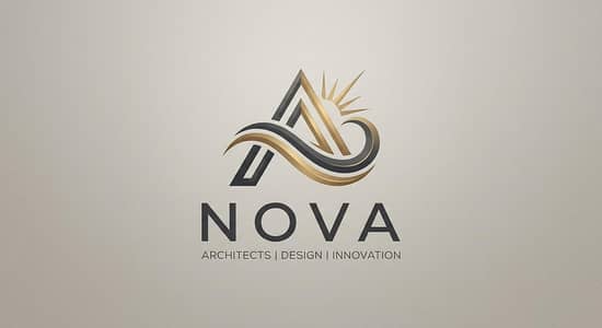 Professional Logo Designs Service