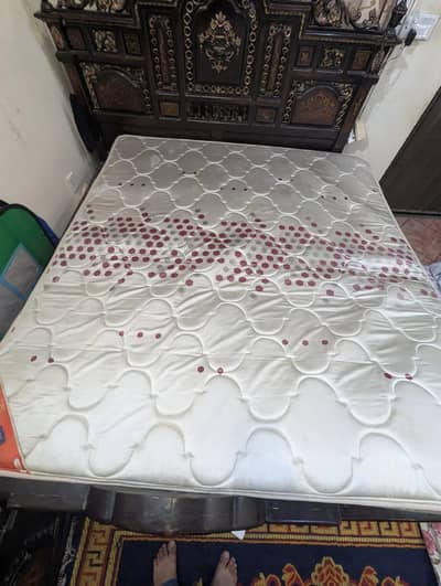 Molty Foam Spring Matters