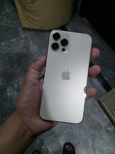 Apple iPhone 12 Pro Max