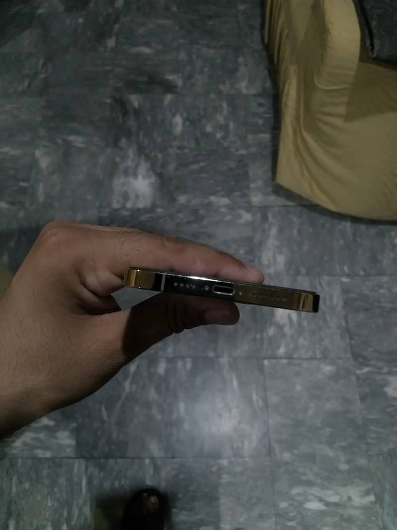 Apple iPhone 12 Pro Max 2
