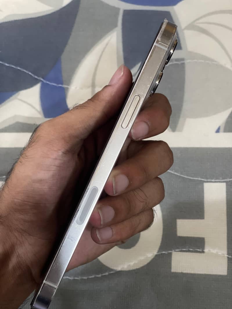 Apple iPhone 13 Pro Max 1