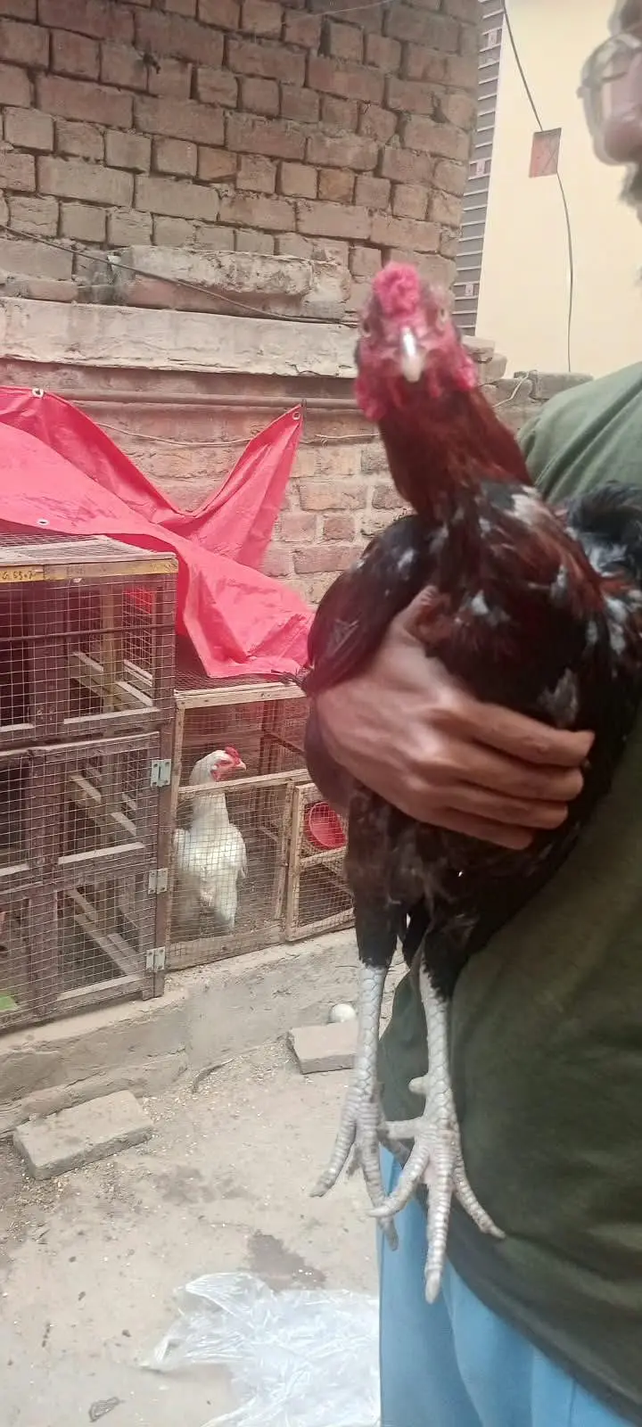 Lakha Patha — photo 2