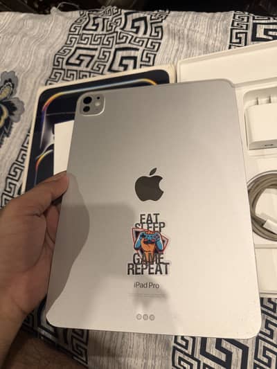 Ipad Pro M4 256GB