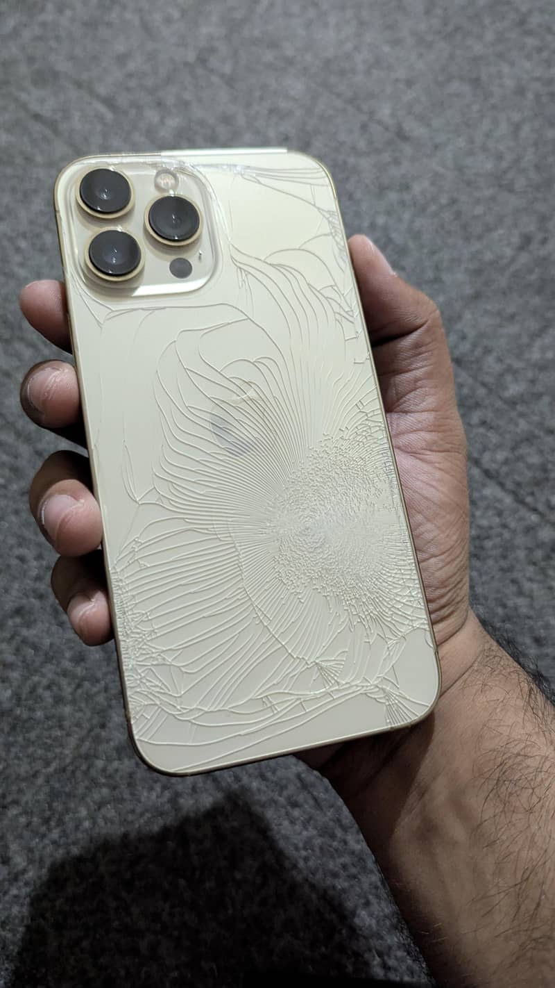 iPhone 13 Pro Max PTA 1