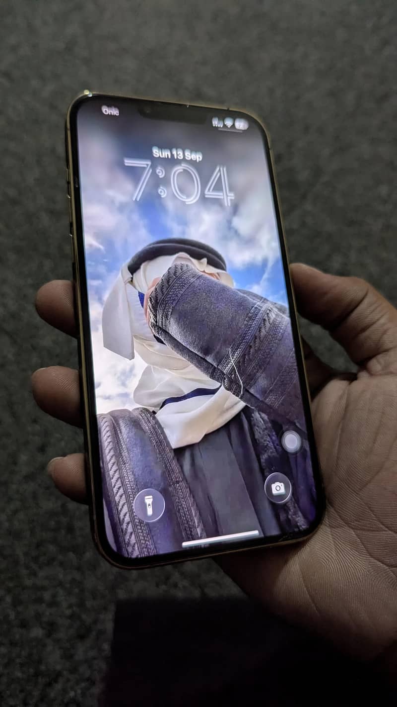 iPhone 13 Pro Max PTA 6