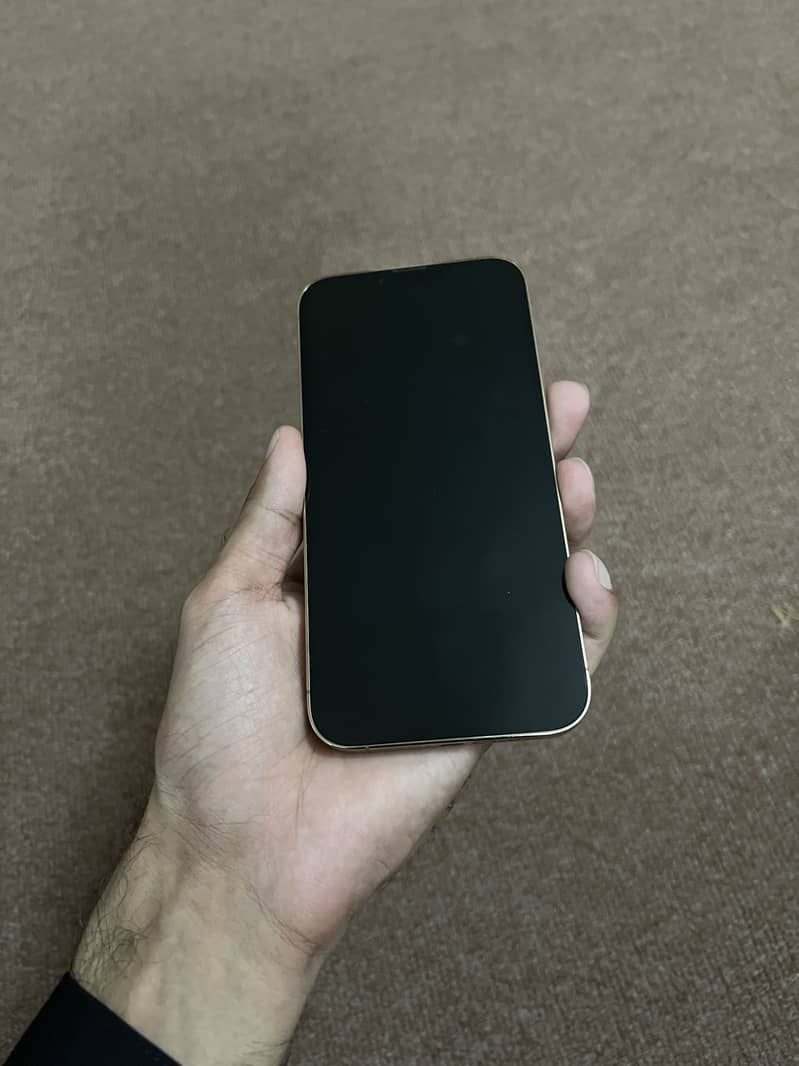 Apple iPhone 13 Pro Max 0