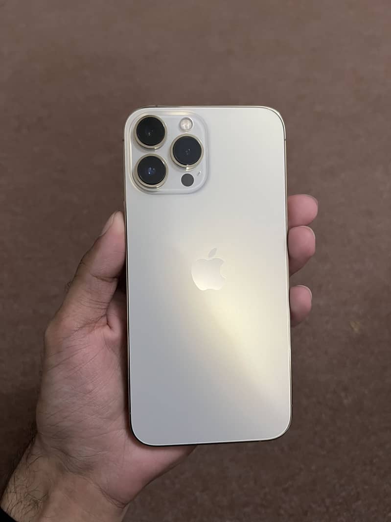 Apple iPhone 13 Pro Max 1