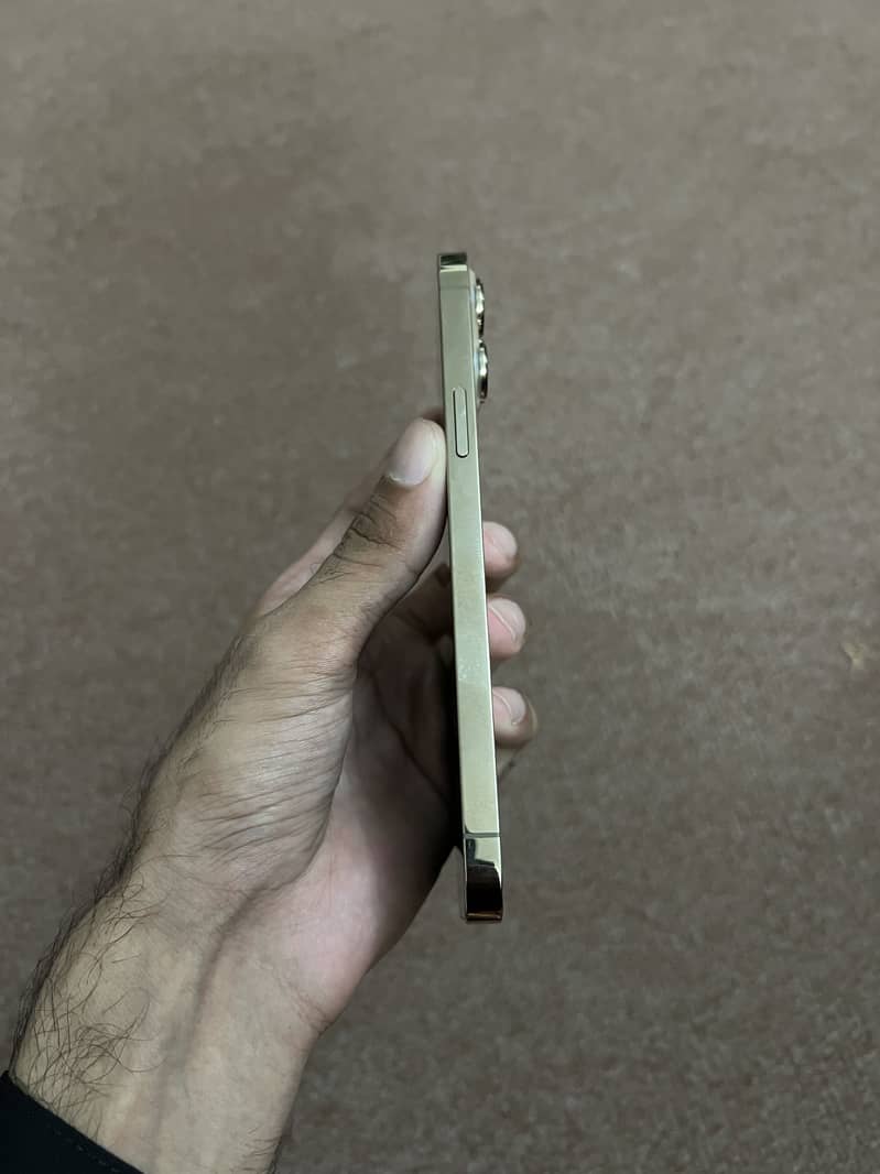 Apple iPhone 13 Pro Max 4