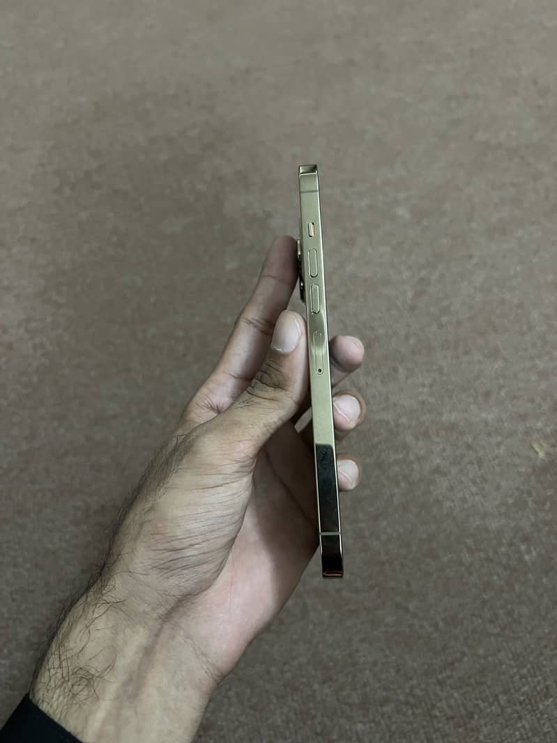 Apple iPhone 13 Pro Max 5
