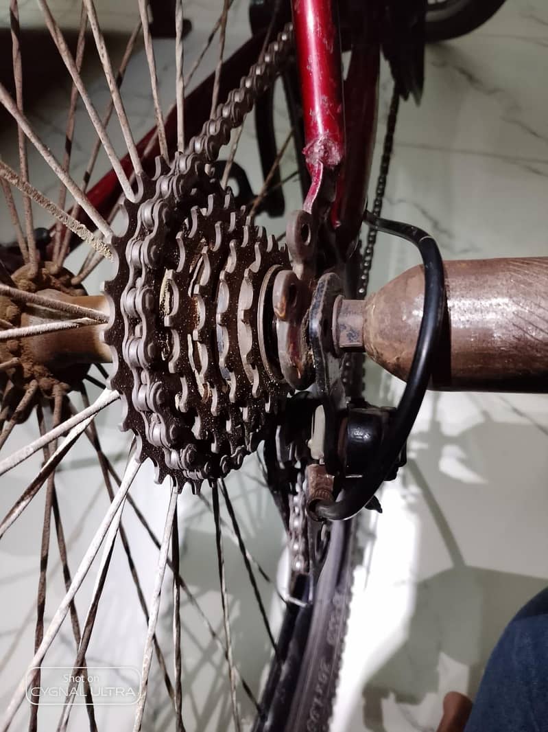 Cycle size 26 11