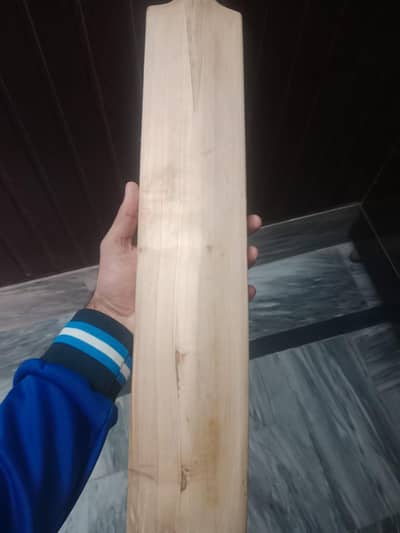 CA Cricket Bat