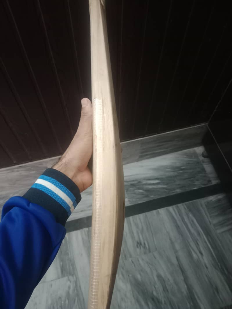 CA Cricket Bat 2
