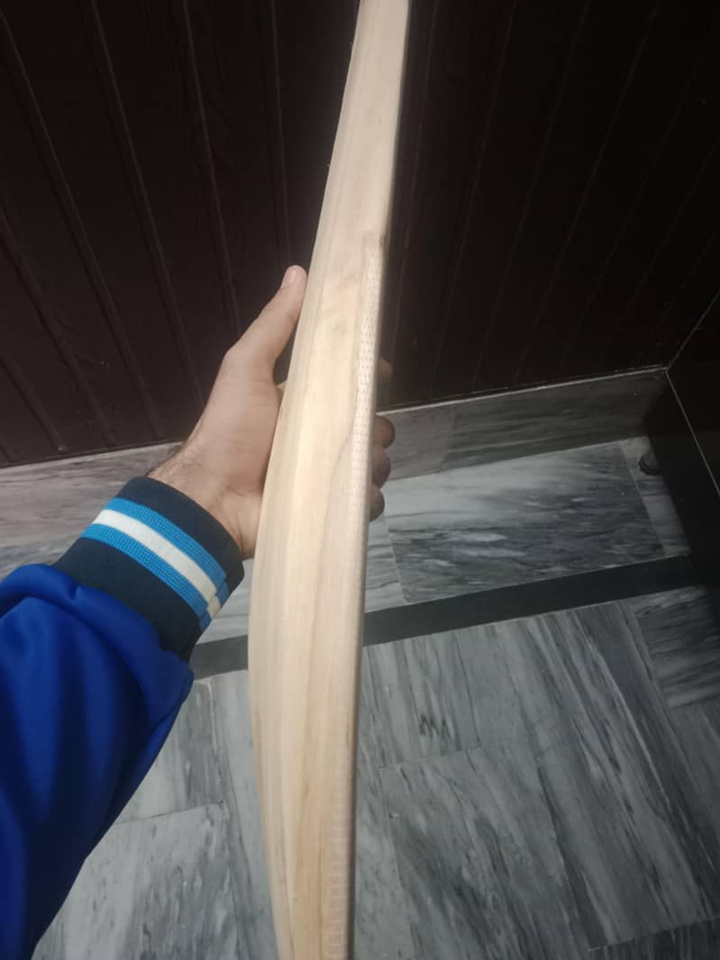 CA Cricket Bat 5