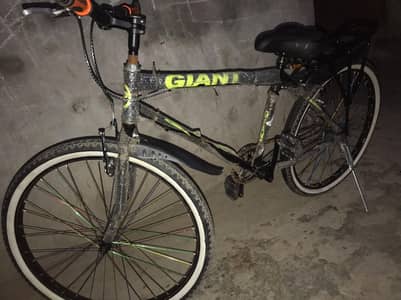 GAINT CYCLE