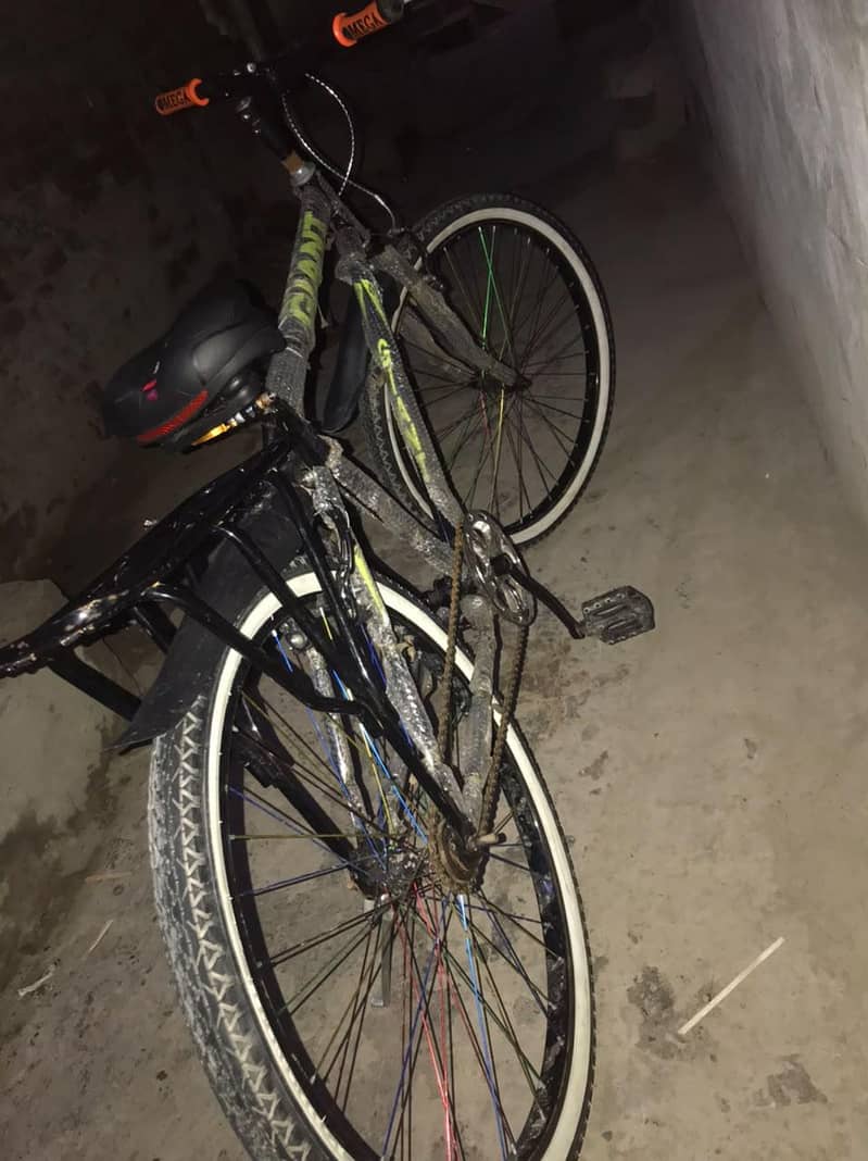 GAINT CYCLE 1