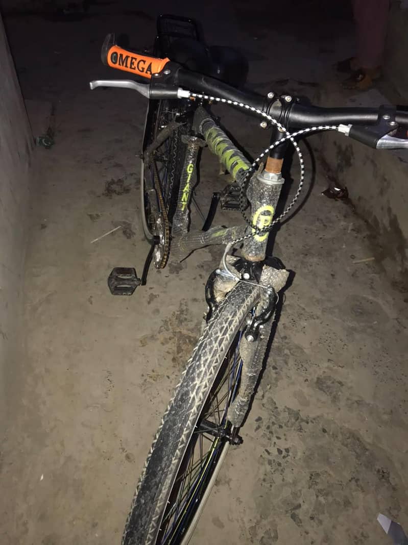 GAINT CYCLE 2