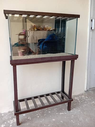 2 feet aquarium