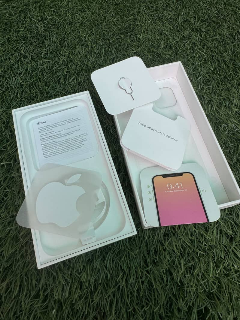Apple iPhone 11 0