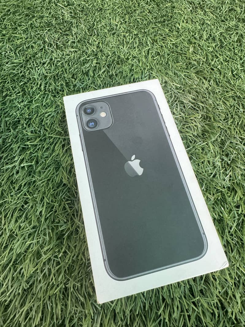 Apple iPhone 11 1