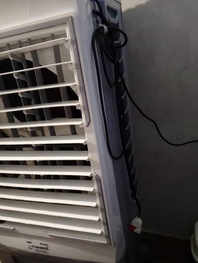 Ac/DC Cooler
