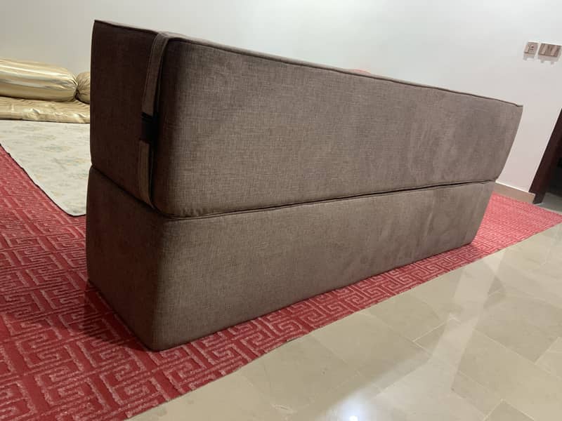 Sofa Cum Bed 1