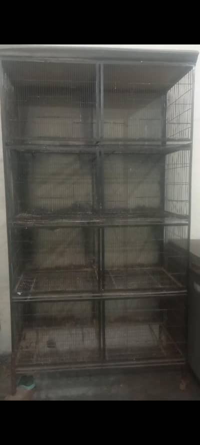 Bird cage for sale