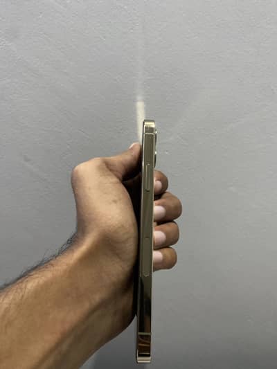 12 pro Factory unlock 256gb