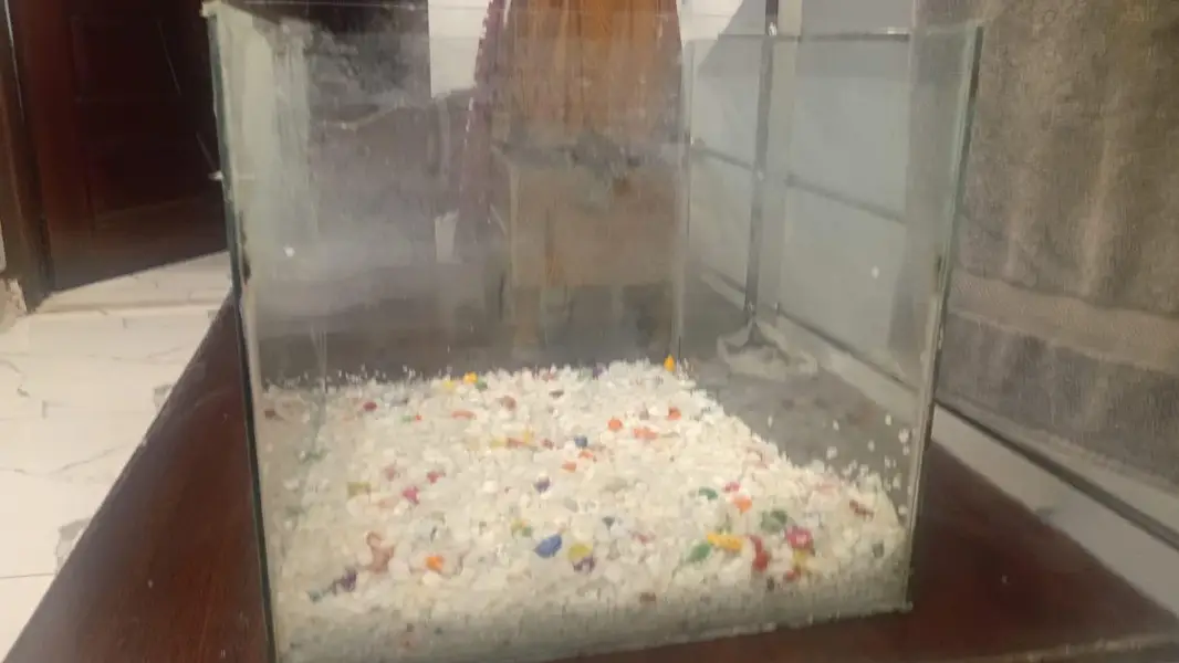 Fish Aquarium — photo 4