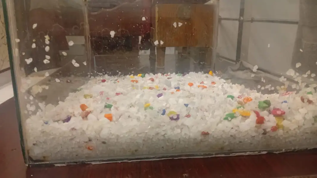 Fish Aquarium — photo 6