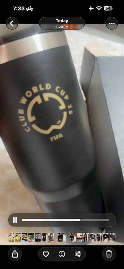 Stanly FIFA cup mug bottel