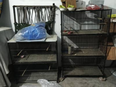 iron cage
