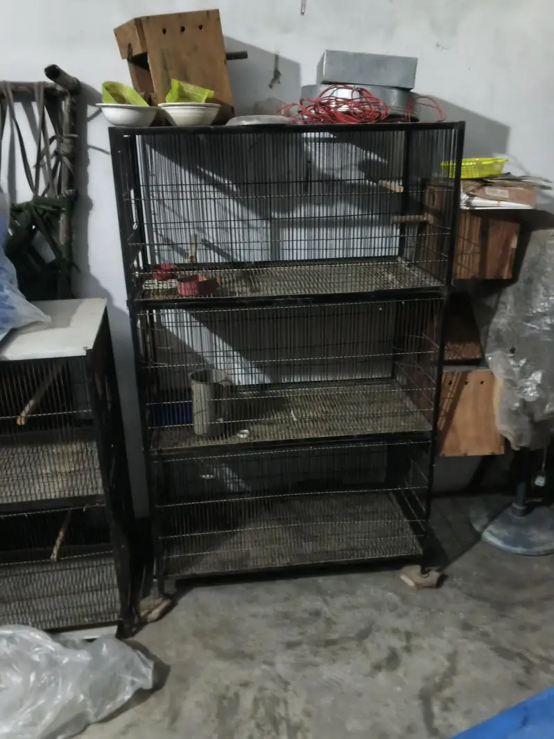 iron cage — photo 3