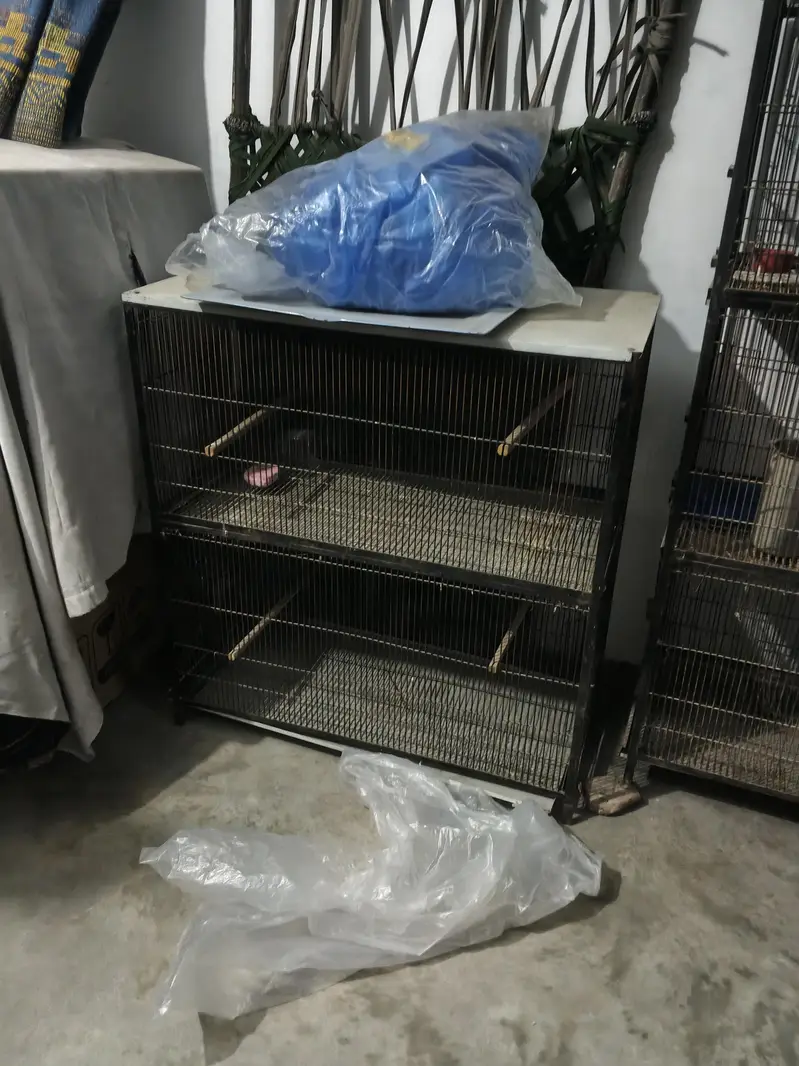 iron cage — photo 4