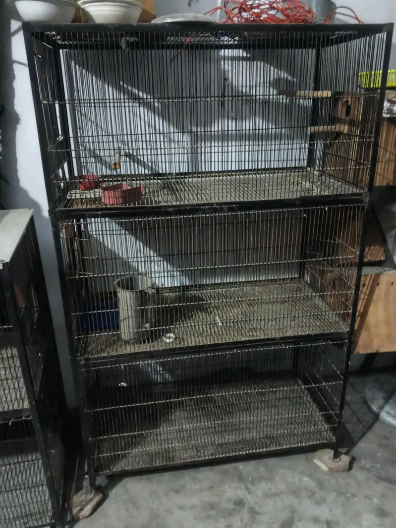iron cage — photo 5