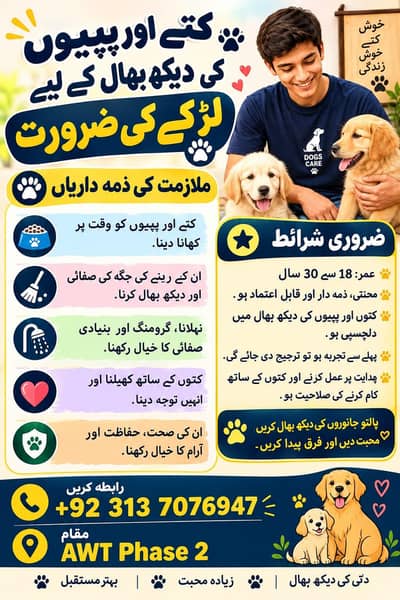 Kennel Boy / kennel worker /  Servant / Maid / Dog keeper Required
