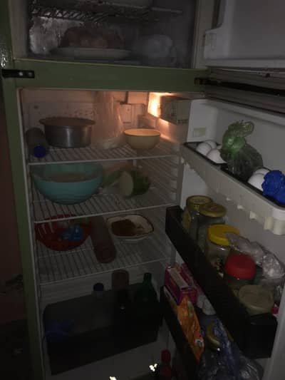 Philips Fridge