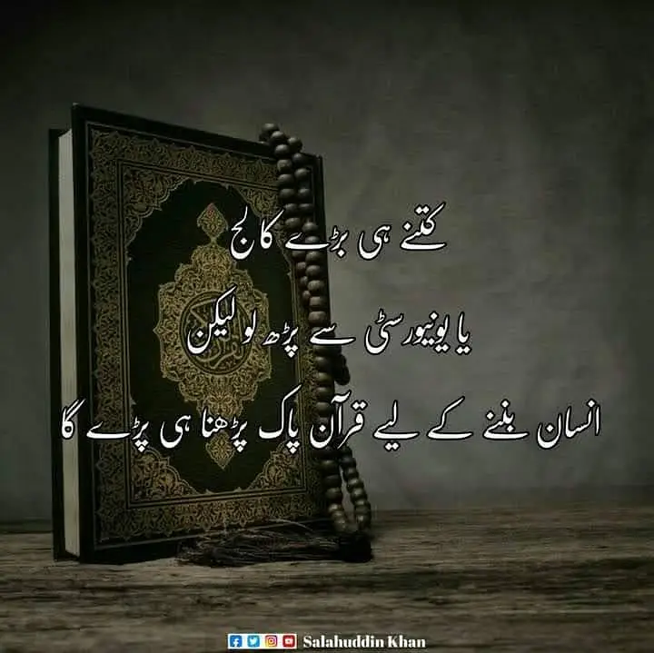 Assalam o alaikum 1 java male mianwali price 5k 4 females per  4500 — photo 7