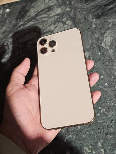 Apple iPhone 12 Pro Max