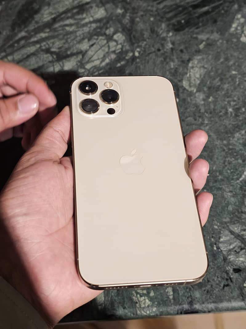Apple iPhone 12 Pro Max 1