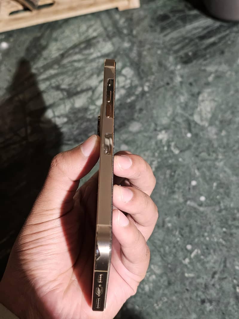 Apple iPhone 12 Pro Max 2