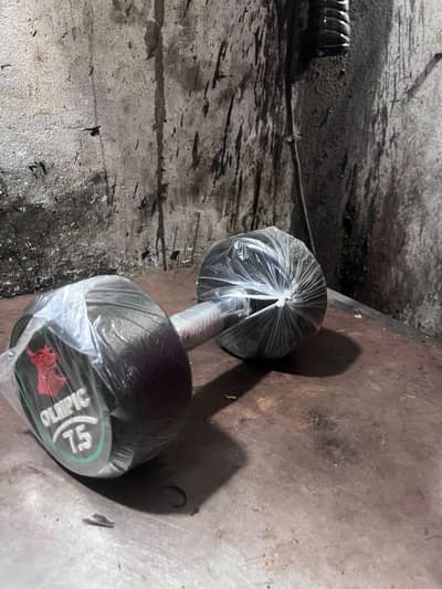 Commercial dumbbells