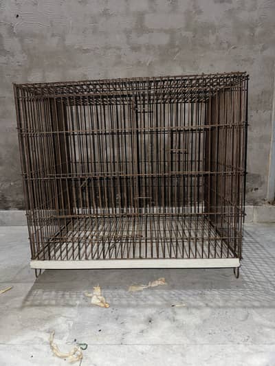 Parrots  cage