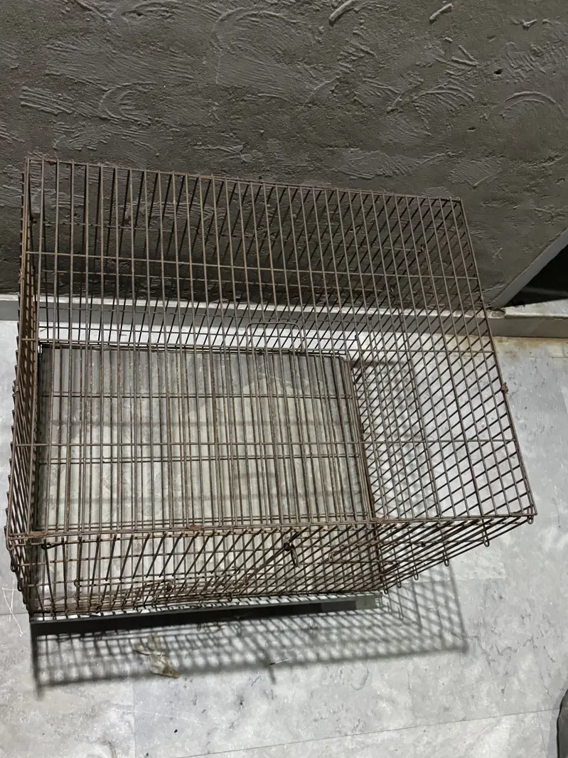 Parrots  cage — photo 2