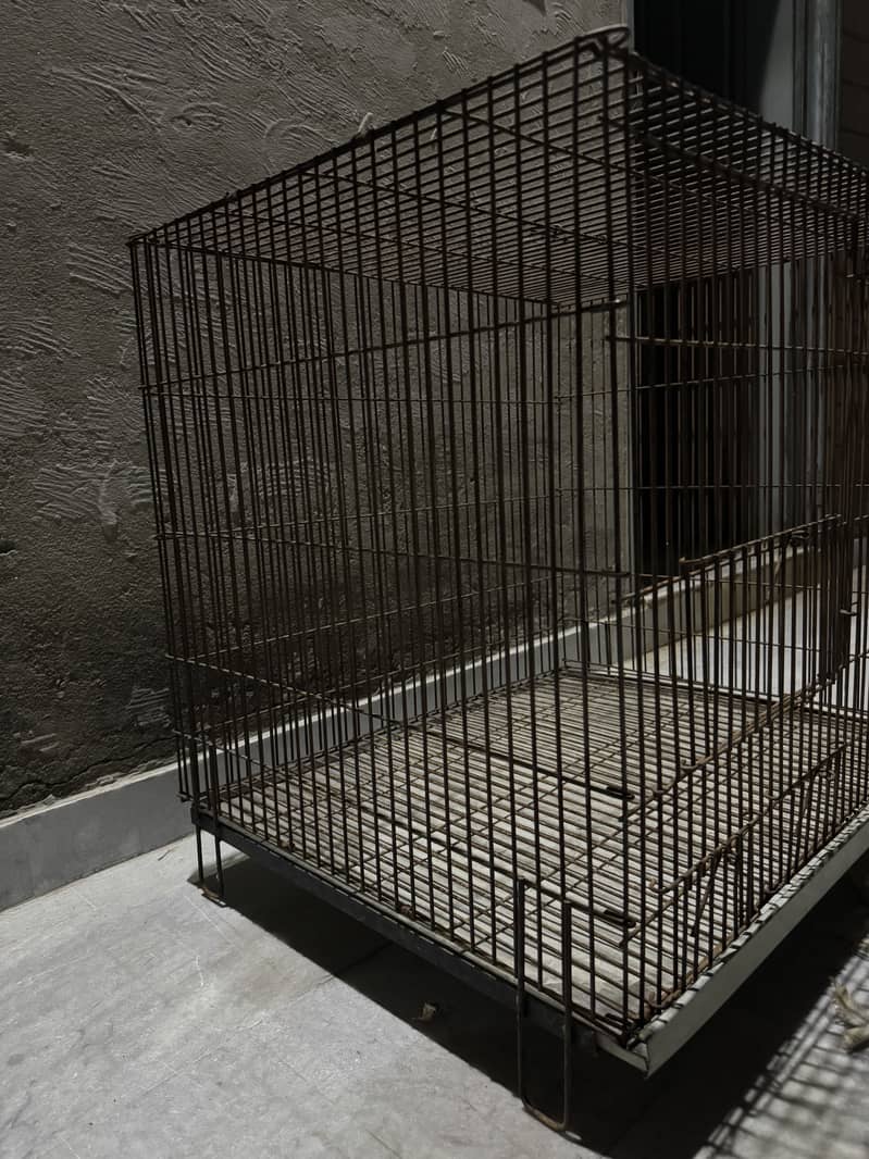 Parrots  cage 2