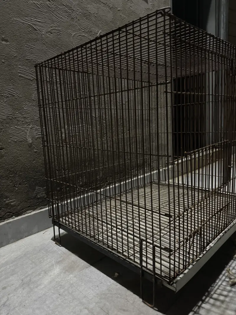 Parrots  cage — photo 3