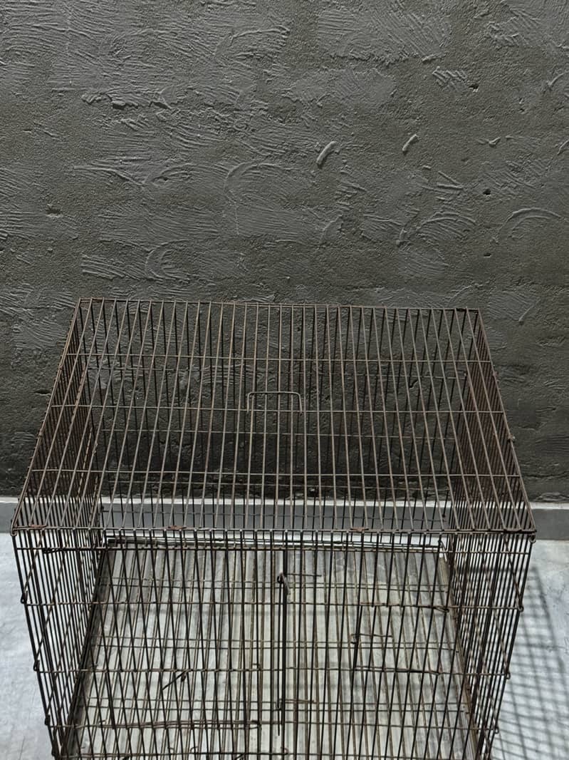 Parrots  cage 3