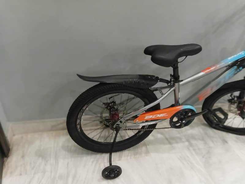 BDF bicycle 1