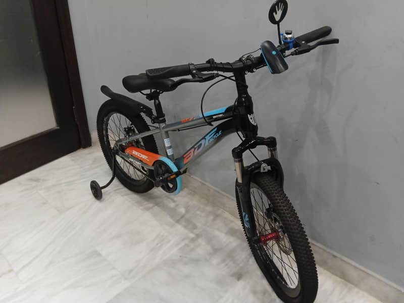 BDF bicycle 2
