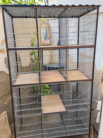 Pinjra (cage)